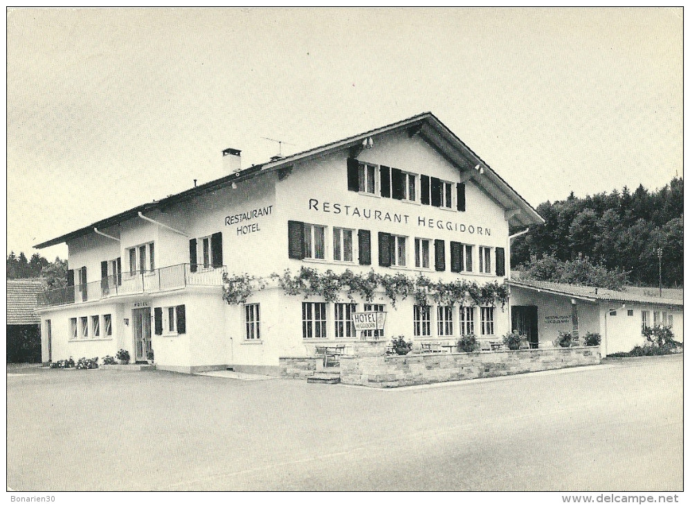 CPSM SUISSE MUHLEBERG HOTEL HEGGIDORN - Autres & Non Classés