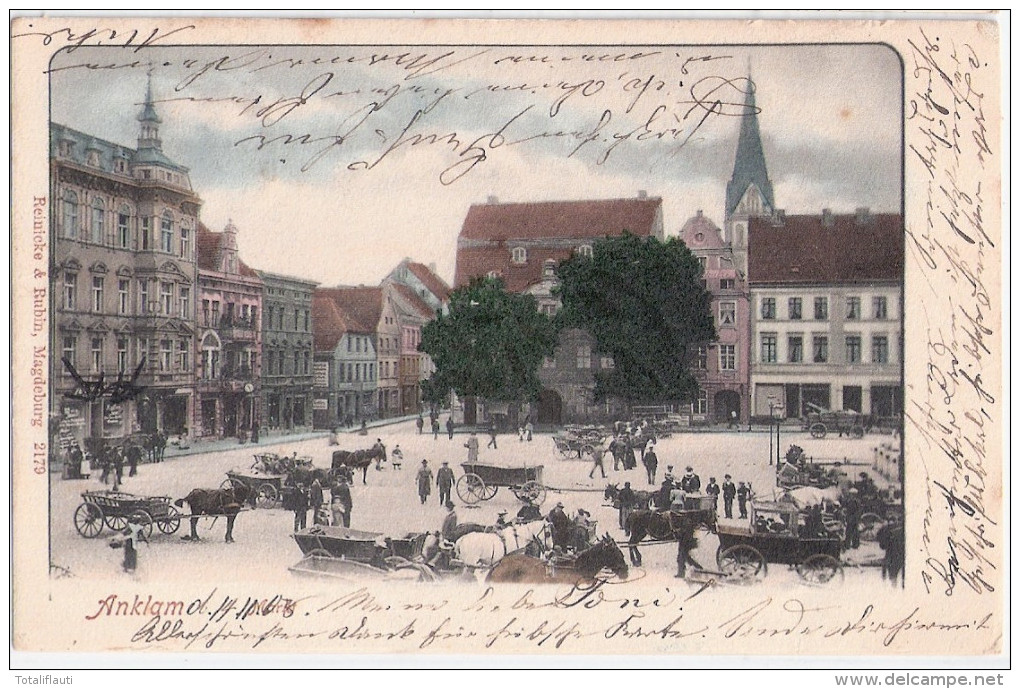 ANKLAM Markt Treiben Color Pferde Wagen14.11.1903 Gelaufen - Anklam