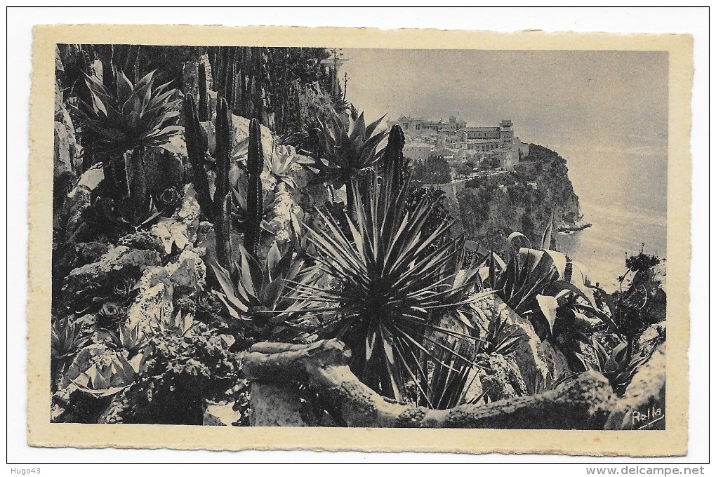 MONTE CARLO - N° 858 - LES JARDINS EXOTIQUES ET LE ROCHER DE MONACO - CARTE FORMAT CPA NON VOYAGEE - Jardin Exotique