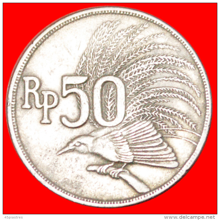 * BIRD OF PARADISE ★ INDONESIA ★ 50 RUPIAH 1971!  LOW START &#9733; NO RESERVE! - Indonésie