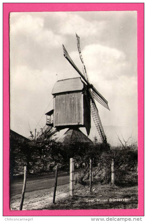 Geel - Molen Gansakker - Moulin - 1970 - NADRUK VERBODEN - Geel