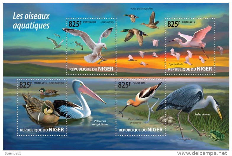 Niger. 2015 Water Birds. (222a) - Pelikanen