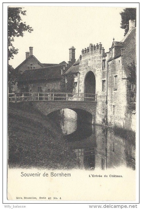 CPA - BORNEM - Souvenir De BORNHEM - Entrée Du Château - Kasteel  // - Bornem