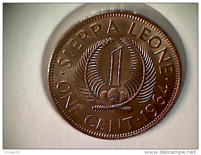 Sierra Leone 1 Cent 1964 - Sierra Leone