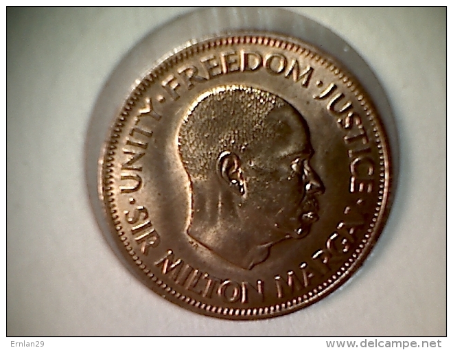 Sierra Leone 1 Cent 1964 - Sierra Leone