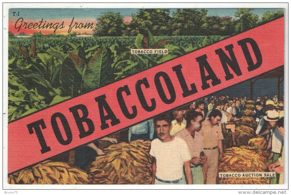 Greetings From Tobaccoland - Tobacco Field - Tobacco Auction Sale - North Carolina - Autres & Non Classés