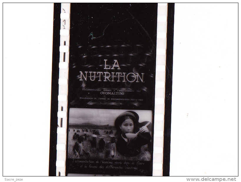 FILM FIXE 35m/m-office De Documentation Par Le Film-la Nutrition-PUB OVOMALTINE - 35mm -16mm - 9,5+8+S8mm Film Rolls