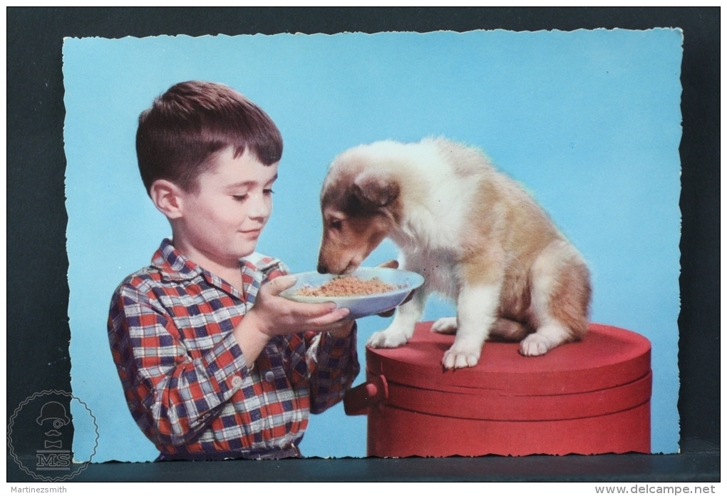 Vintage Children Topic Postcard - Small Boy Feeding His Little Dog - Groupes D'enfants & Familles