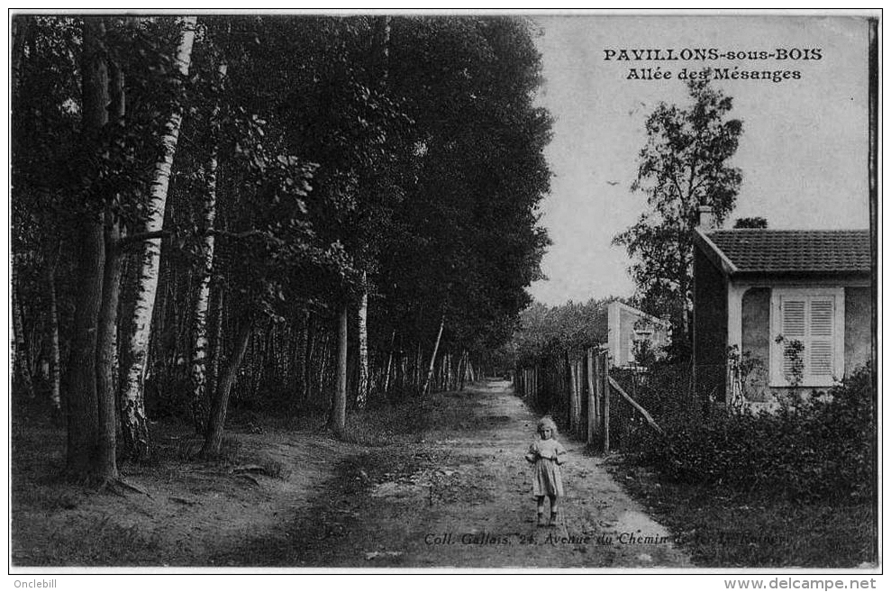 Pavillons Sous Bois Seine Saint Denis Fillette Pavillons Allée Mésanges 1919 état Superbe - Les Pavillons Sous Bois