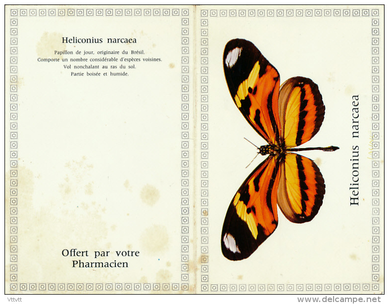 Calendrier Petit Format, Année 1966, Offert Par Votre Pharmacien, Papillon Heliconius Narcaea Du Brésil - Tamaño Pequeño : 1961-70