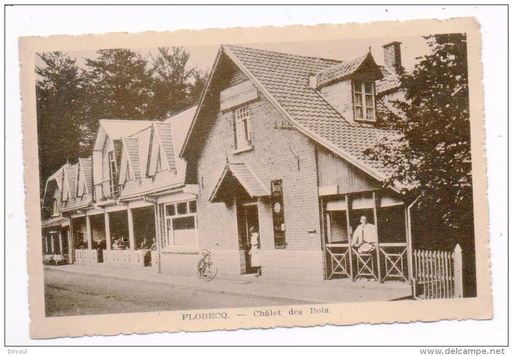 30699  -  Flobecq  Châlet Des Bois  édit  Fostier - Vloesberg