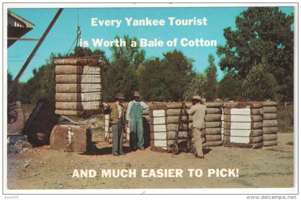 Greetings From Dixie - Bales Of Cotton Just Finished By A Cotton Gin Are Ready For The Market - Autres & Non Classés