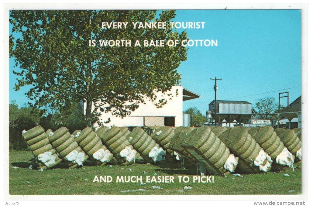 Greetings From Dixie - Bales Of Cotton Just Finished By A Cotton Gin Are Ready For The Market - Autres & Non Classés