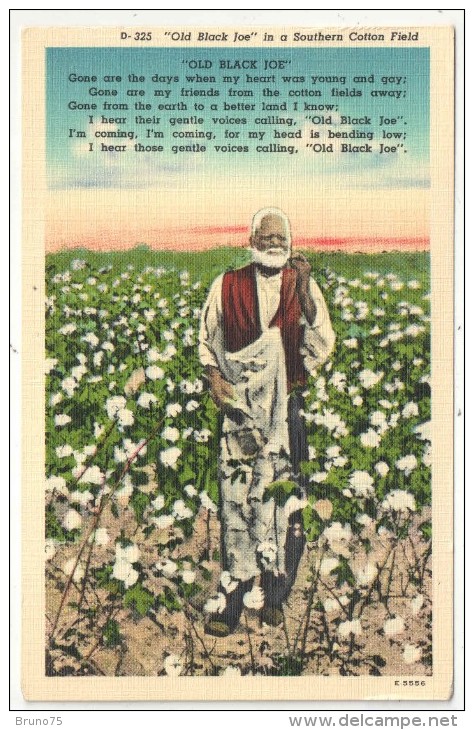 Old Black Joe In A Southern Cotton Field - Negro Americana