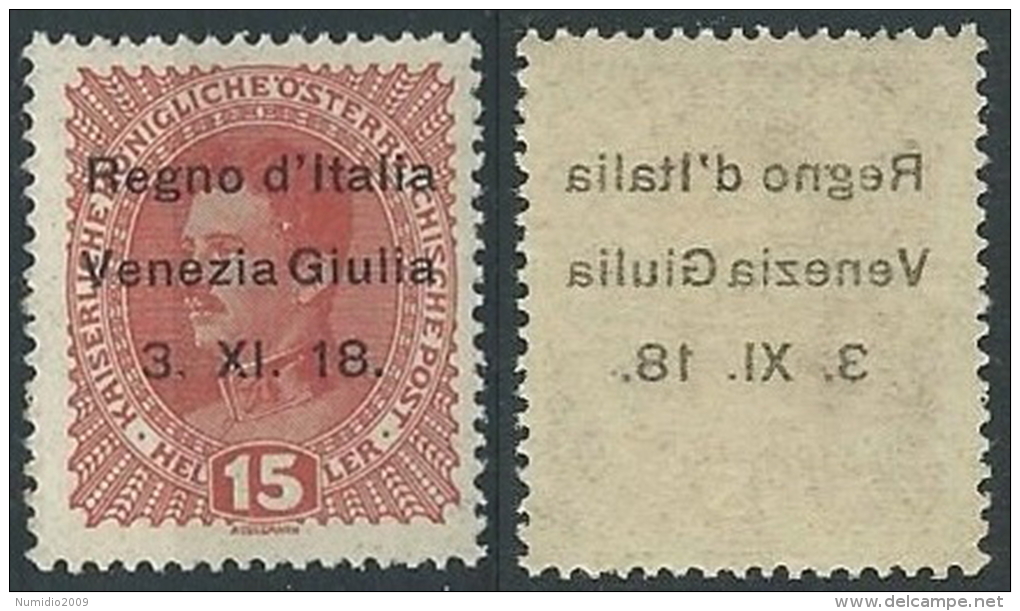 1918 VENEZIA GIULIA 15 H VARIETà DECALCO MNH ** - W142-12 - Venezia Giulia