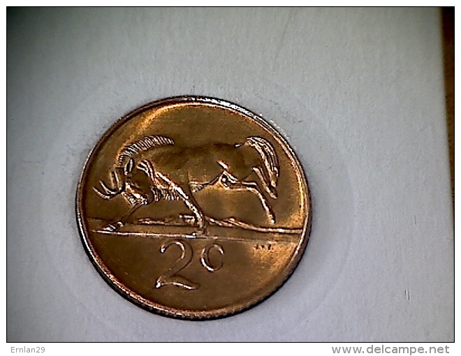 Afrique Du Sud 2 Cents 1986 TTB - Sud Africa