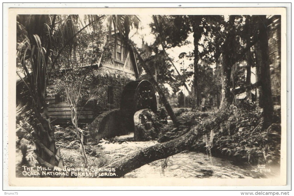 The Mill At Juniper Springs, Ocala National Forest, Florida - Ocala