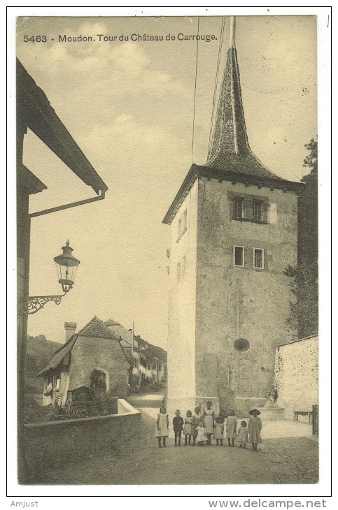 Suisse /Schweiz/Svizzera/Switzerland/Vaud / Moudon, Tour Du Château De Carrouge - Carrouge 