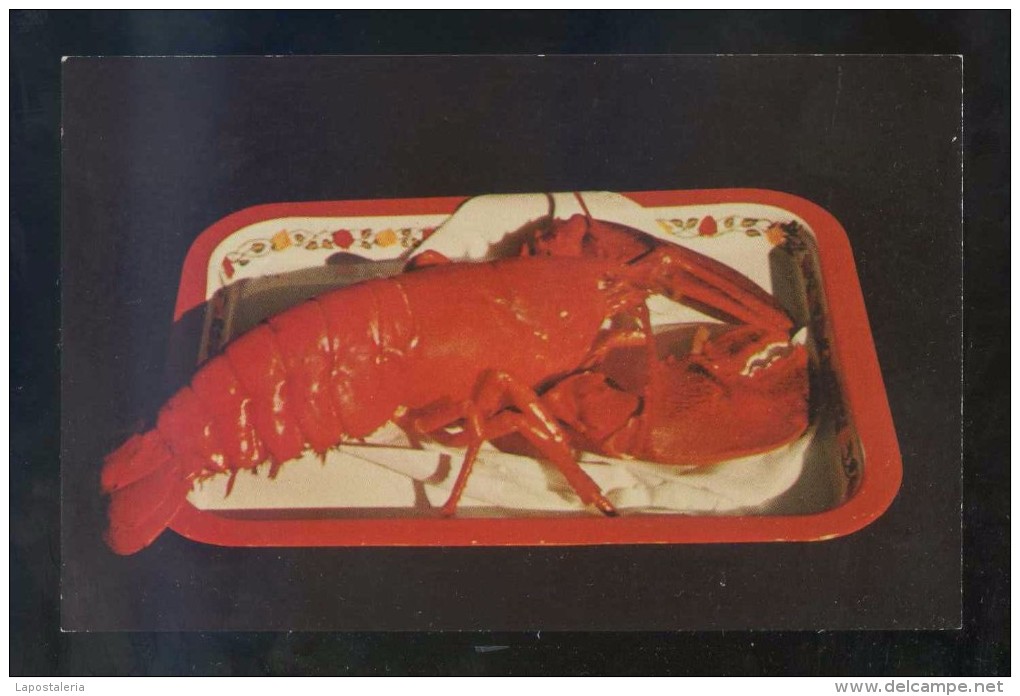 *Lobster. Red* Ed. Book Room Nº 591. Impresa En USA. Nueva. - Poissons Et Crustacés