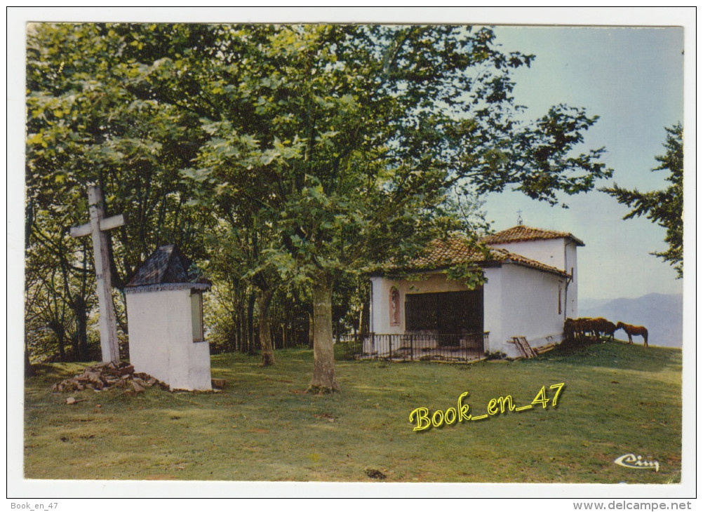 {62087} 64 Pyrénées Atlantiques Ainhoa , La Chapelle De L' Aubépine Et Des Pottoks , Petits Chevaux Sauvages Basque - Ainhoa