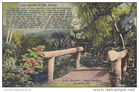 Florida Sarasota The Prayer Of The Woods Sarasota Jungle Gardens - Sarasota