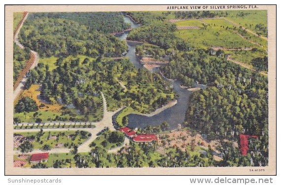 Florida Silver Springs Airplane View Of Silver Springs - Silver Springs