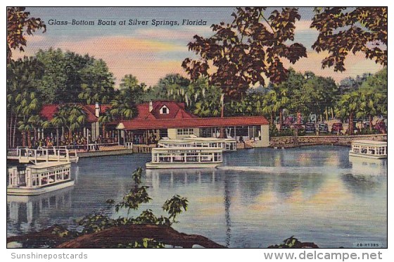 Florida Silver Springs Glass Bottom Boats At Silver Springs - Silver Springs