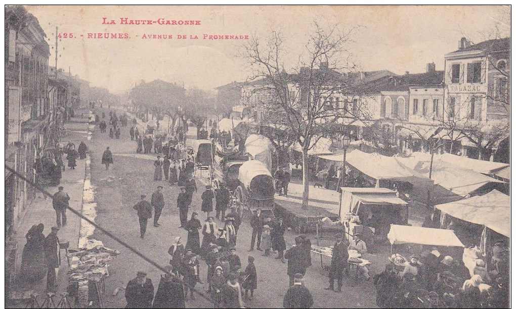 CPA : 31. RIEUMES. AVENUE DE LA PROMENADE. EN L ETAT - Autres & Non Classés