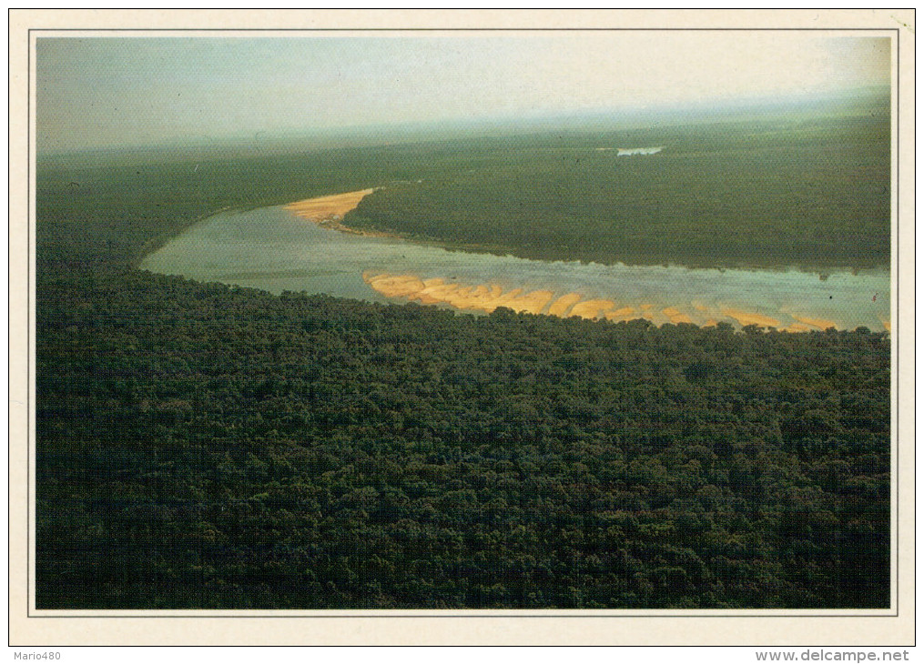 BRASILE  VEDUTA AEREA DELLA FORESTA  AMAZZONICA      (NUOVA CON DESCRIZIONE DEL SITO SUL RETRO) - Altri & Non Classificati