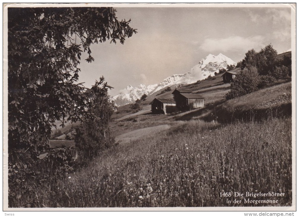 DIE BRIGELSERHÖRNER IN DER MORGENSONNE - Breil/Brigels