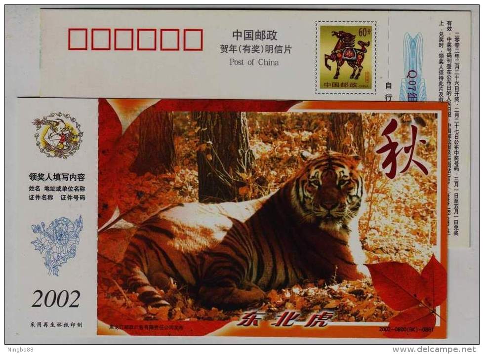 Siberian Tiger,#6,China 2002 Heilongjiang Rare Animal Advertising Pre-stamped Card - Félins