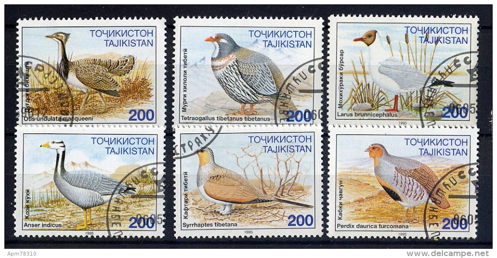 Tadjikistan/Tajikistan OBL Oiseaux - Perdrix 		75 à 80 - Tadjikistan