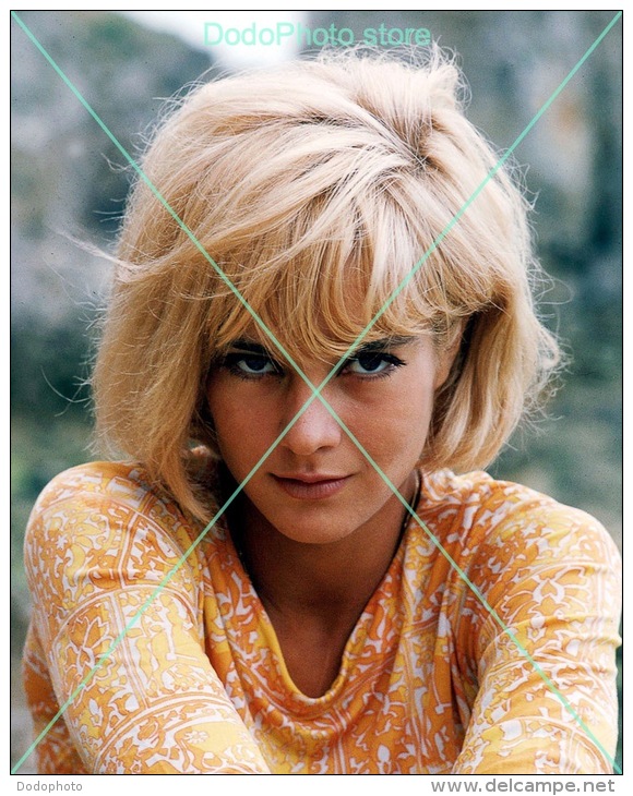 Sylvie Vartan - 0002 - Glossy Photo 8 X 10 Inches - Berühmtheiten