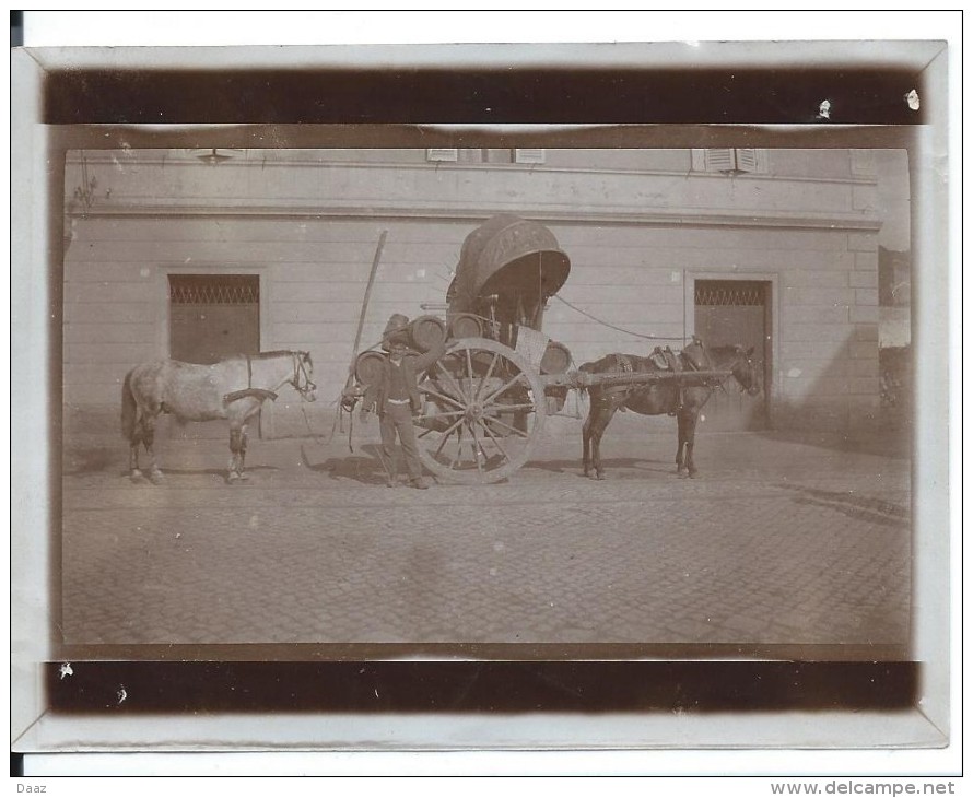 Roma Sur La Route De Nemi  Février 1908  Paysan Attelage Cheval  Tonneaux Photo 12x9 - Persone Anonimi