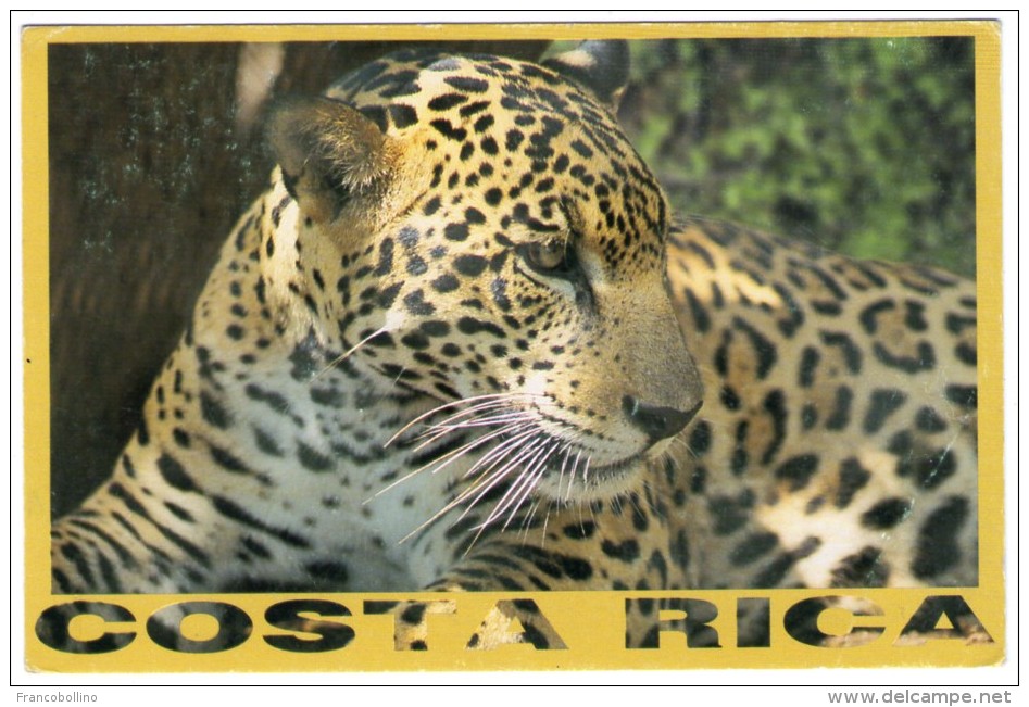 COSTA RICA - TIGRE/JAGUAR /THEMATIC STAMP-SEA LIFE - Costa Rica