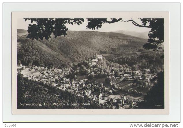 Schwarzburg-Blick Vom Trippstein - Bad Blankenburg