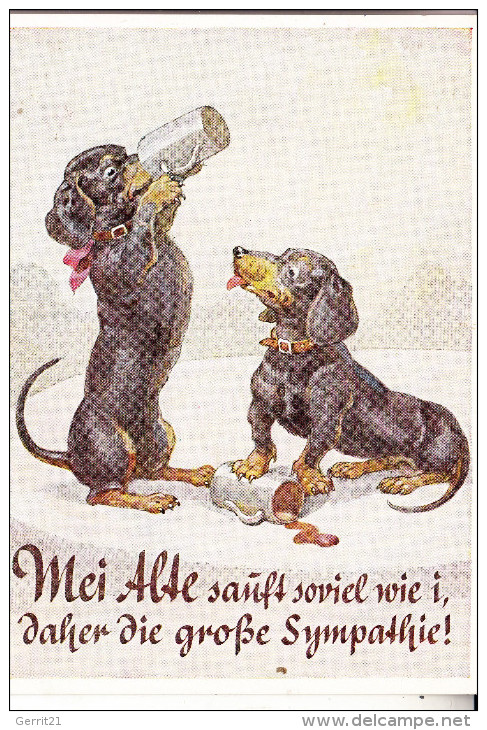 HUNDE - DACKEL / Teckel / Dachshund / Bassotto, Bier, Humor - Perros