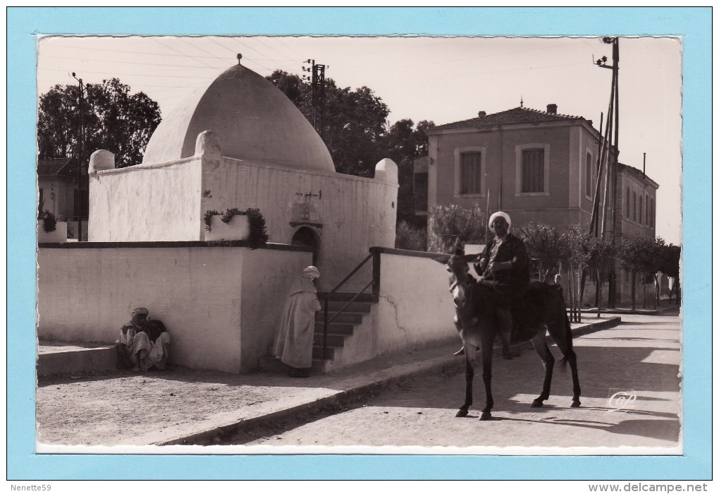 PALIKAO ( ORAN ) - Le Marabout - Oran