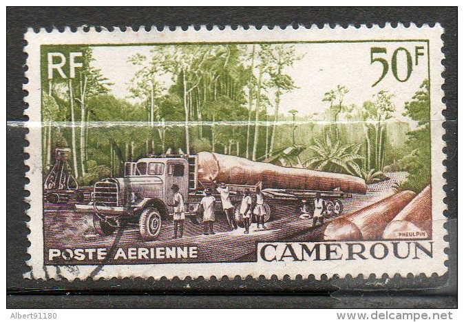 CAMEROUNE  PAérienne Exploitation Forestiére 1955  N° 46 - Airmail