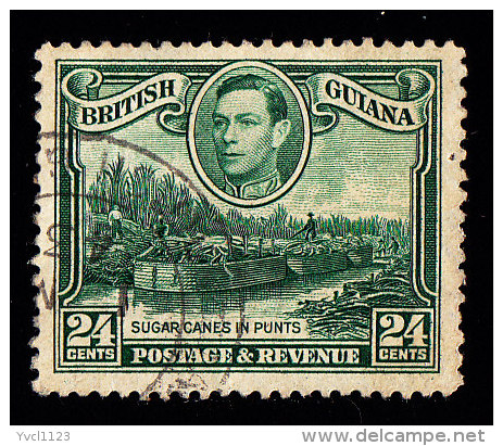 BRITISH GUIANA - Scott # 234 Sugar Cane In Punts (*) / Used Stamp - British Guiana (...-1966)