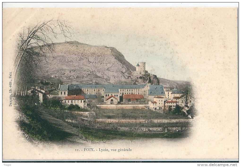 FOIX    ( 09 )   Lycée  Et  Vue  Générale - Foix