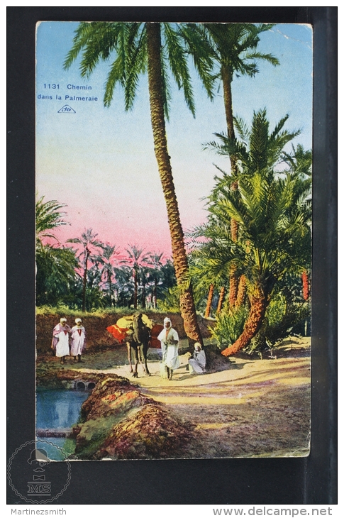 Old Africa Postcard - Chemin Dans La Palmeraie - Otros & Sin Clasificación