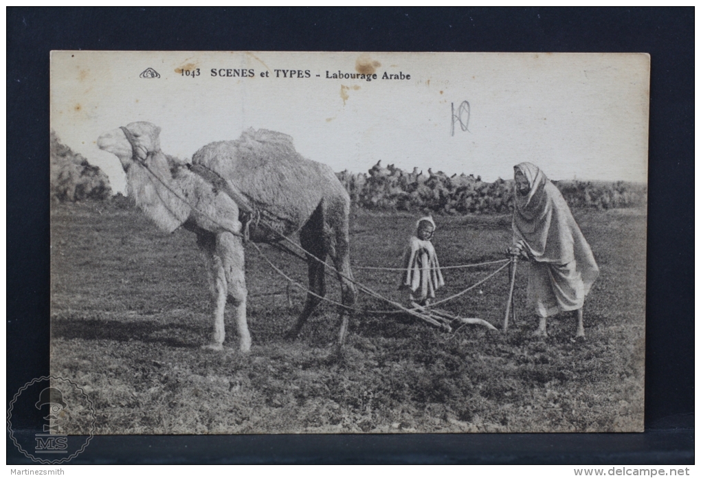 Old Africa Postcard - Scenes Et Types - Labourage Arabe - Sin Clasificación