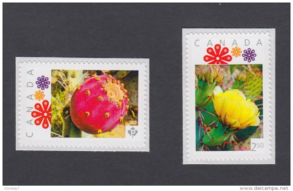 LQ. CACTUS FRUIT & FLOWER Set Of 2 MNH Canada 2011 Picture Postage Stamps, "P" & ´International" (p11cs2) - Cactusses