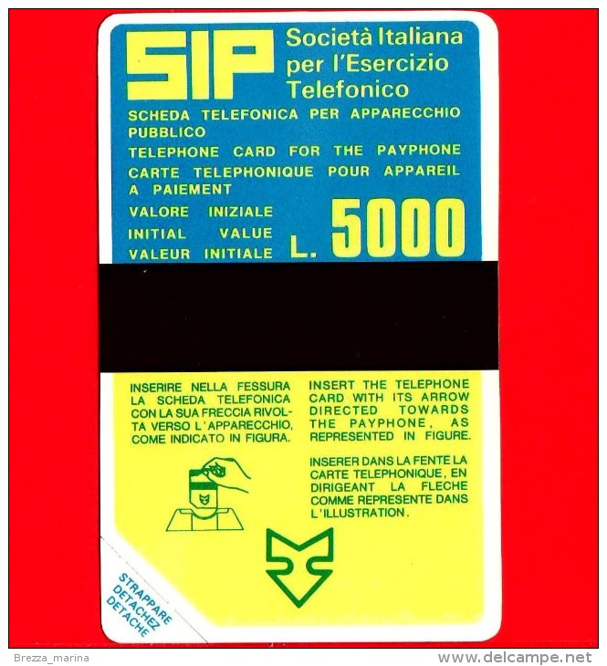 Nuova - Scheda Telefonica - Italia - SIP - SIDA NUOVA - Primo Gruppo Sida  - C&C 1012 A - Golden P14 - Pubbliche Precursori