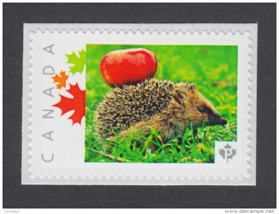 HEDGEHOG With An Apple MNH Canada Post 2014 Personalized Picture Postage Stamp, "P"- Permanent, Domestic Rate. (p11sn1) - Other & Unclassified