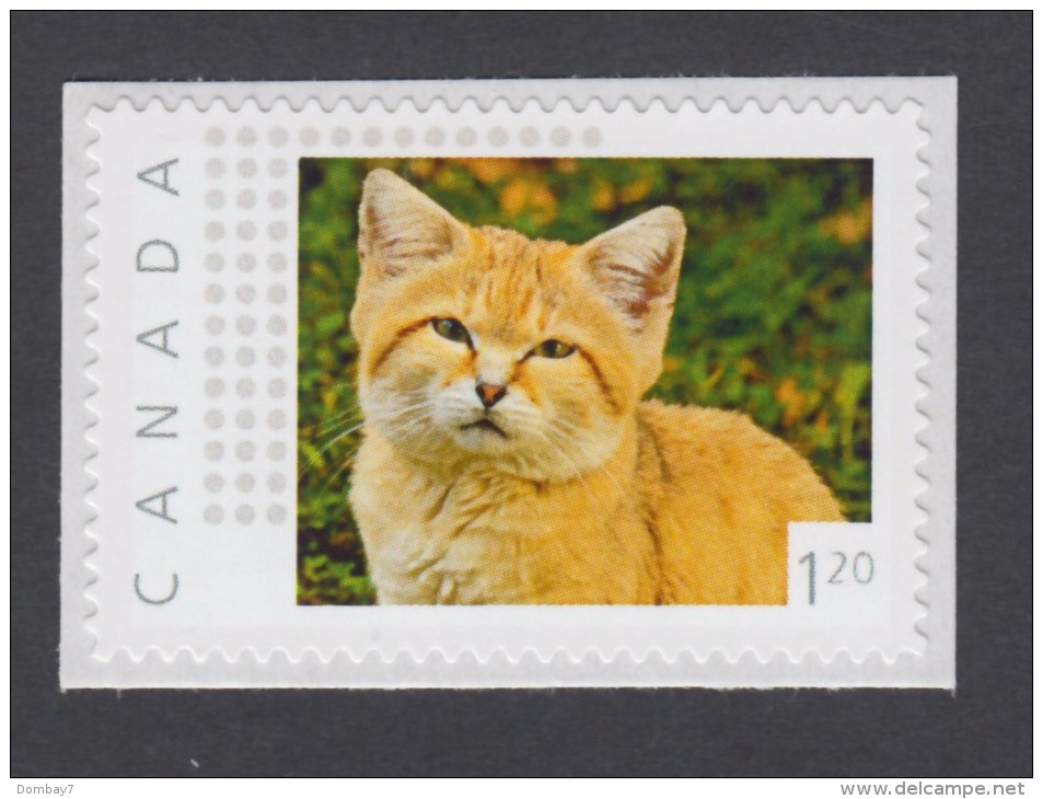 LQ. SAND CAT  Picture Postage MNH Stamp, "USA" - Rate. Canada  2014 [p11sn16] - Domestic Cats