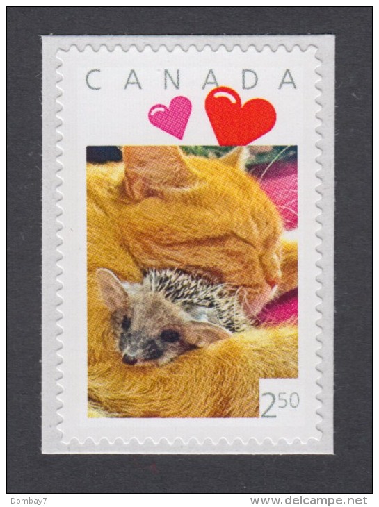 LQ. CAT With HEDGEHOG   Picture Postage MNH Stamp, Canada  2014 "International" - Rate. [p11sn12] - Domestic Cats