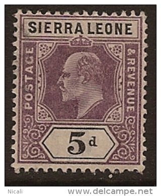 SIERRA LEONE 1903 5d KE VII SG 80 HM PL127 - Sierra Leone (...-1960)