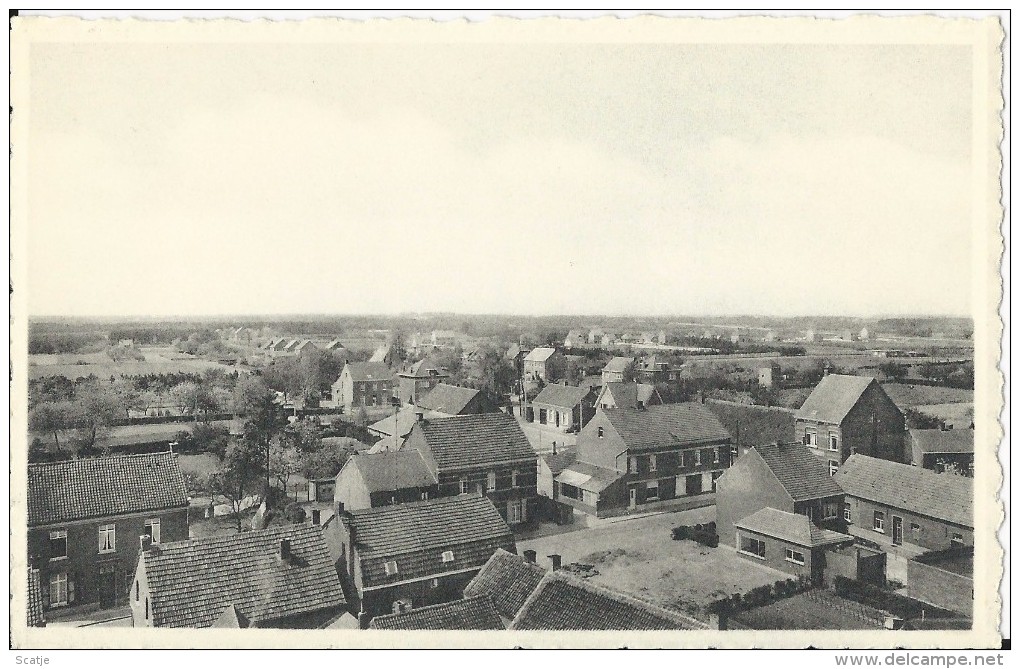 Oevel    Panorama  (uit Plakboek) - Westerlo